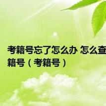 考籍号忘了怎么办 怎么查自己学籍号(考籍号)