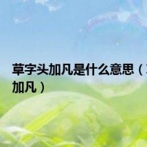 草字头加凡是什么意思(草字头加凡)