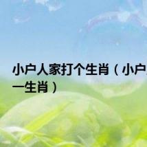 小户人家打个生肖(小户人家打一生肖)