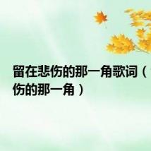 留在悲伤的那一角歌词(留在悲伤的那一角)