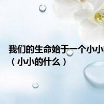 我们的生命始于一个小小的什么(小小的什么)