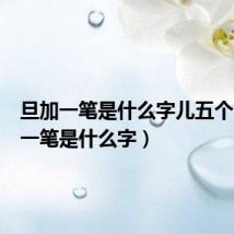 旦加一笔是什么字儿五个(旦加一笔是什么字)
