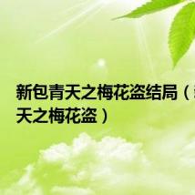 新包青天之梅花盗结局(新包青天之梅花盗)