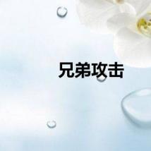 兄弟攻击