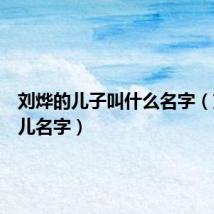 刘烨的儿子叫什么名字(刘烨女儿名字)