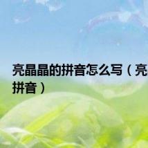 亮晶晶的拼音怎么写(亮晶晶的拼音)