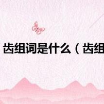 齿组词是什么（齿组词）