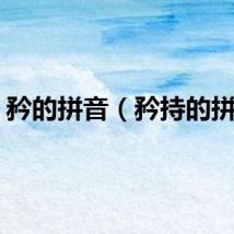矜的拼音（矜持的拼音）