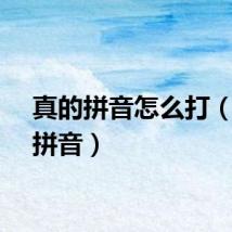 真的拼音怎么打（真的拼音）