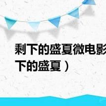 剩下的盛夏微电影（剩下的盛夏）