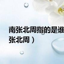 南张北周指的是谁（南张北周）