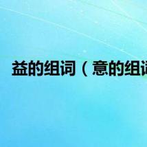 益的组词（意的组词）