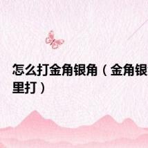怎么打金角银角(金角银角在哪里打)