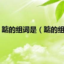 踮的组词是（踮的组词）