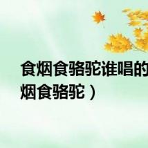 食烟食骆驼谁唱的（食烟食骆驼）