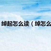 绰起怎么读（绰怎么读）