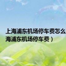 上海浦东机场停车费怎么收(上海浦东机场停车费)