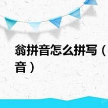 翁拼音怎么拼写（翁拼音）