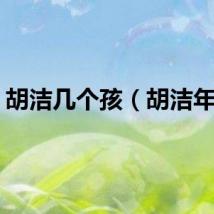胡洁几个孩(胡洁年龄)
