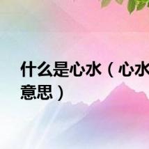 什么是心水（心水什么意思）