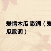 爱情木瓜 歌词(爱情木瓜歌词)