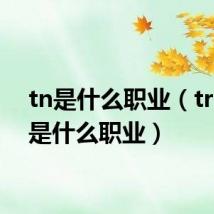 tn是什么职业(traffic是什么职业)