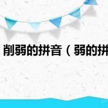 削弱的拼音（弱的拼音）
