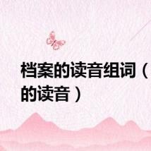 档案的读音组词(档案的读音)