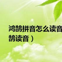 鸿鹄拼音怎么读音(鸿鹄读音)