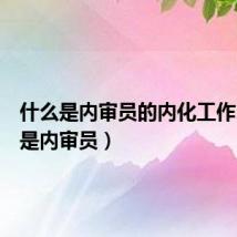 什么是内审员的内化工作(什么是内审员)
