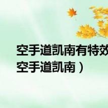 空手道凯南有特效吗（空手道凯南）