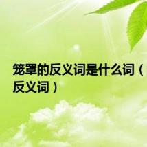 笼罩的反义词是什么词(笼罩的反义词)