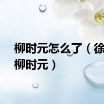 柳时元怎么了（徐智英柳时元）