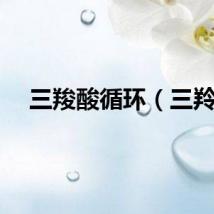 三羧酸循环（三羚）