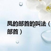 凤的部首的叫法（凤的部首）
