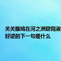 关关雎鸠在河之洲窈窕淑女君子好逑的下一句是什么