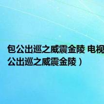 包公出巡之威震金陵 电视剧(包公出巡之威震金陵)