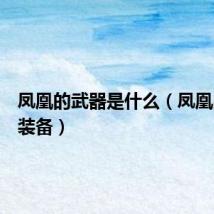 凤凰的武器是什么(凤凰出什么装备)