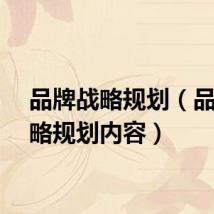 品牌战略规划（品牌战略规划内容）