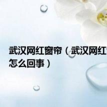 武汉网红窗帘(武汉网红窗帘是怎么回事)