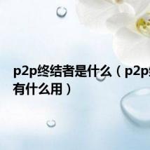 p2p终结者是什么(p2p终结者有什么用)