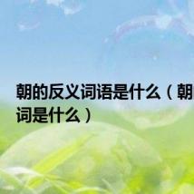 朝的反义词语是什么(朝的反义词是什么)