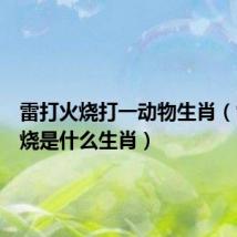 雷打火烧打一动物生肖(雷劈火烧是什么生肖)