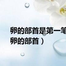 卵的部首是第一笔吗（卵的部首）