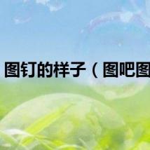 图钉的样子（图吧图钉）