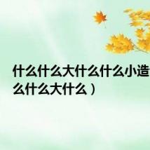 什么什么大什么什么小造句(什么什么大什么)