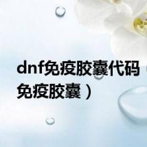 dnf免疫胶囊代码(dnf免疫胶囊)