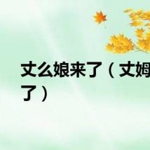 丈么娘来了（丈姆娘来了）