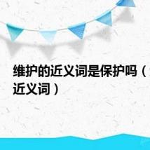 维护的近义词是保护吗(维护的近义词)
