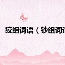 狡组词语（钞组词语）